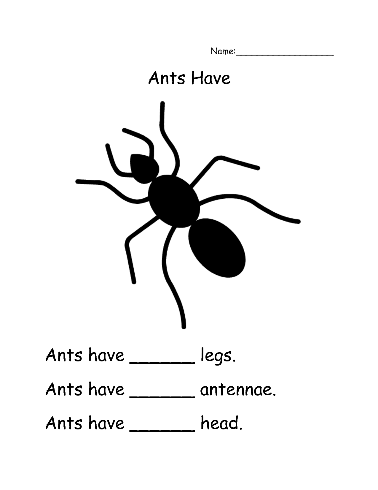 Free Ant Worksheets Printables