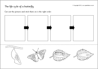 Life Cycle of a Butterfly Worksheet Cut Paste Image