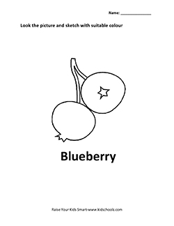 Blueberry Fruit Coloring Pages Image