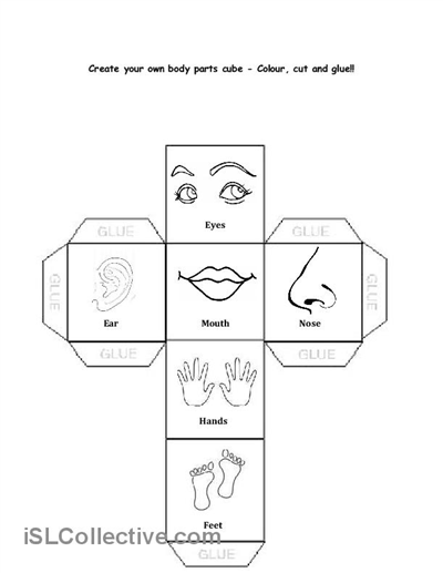 Body Parts Worksheet Kindergarten