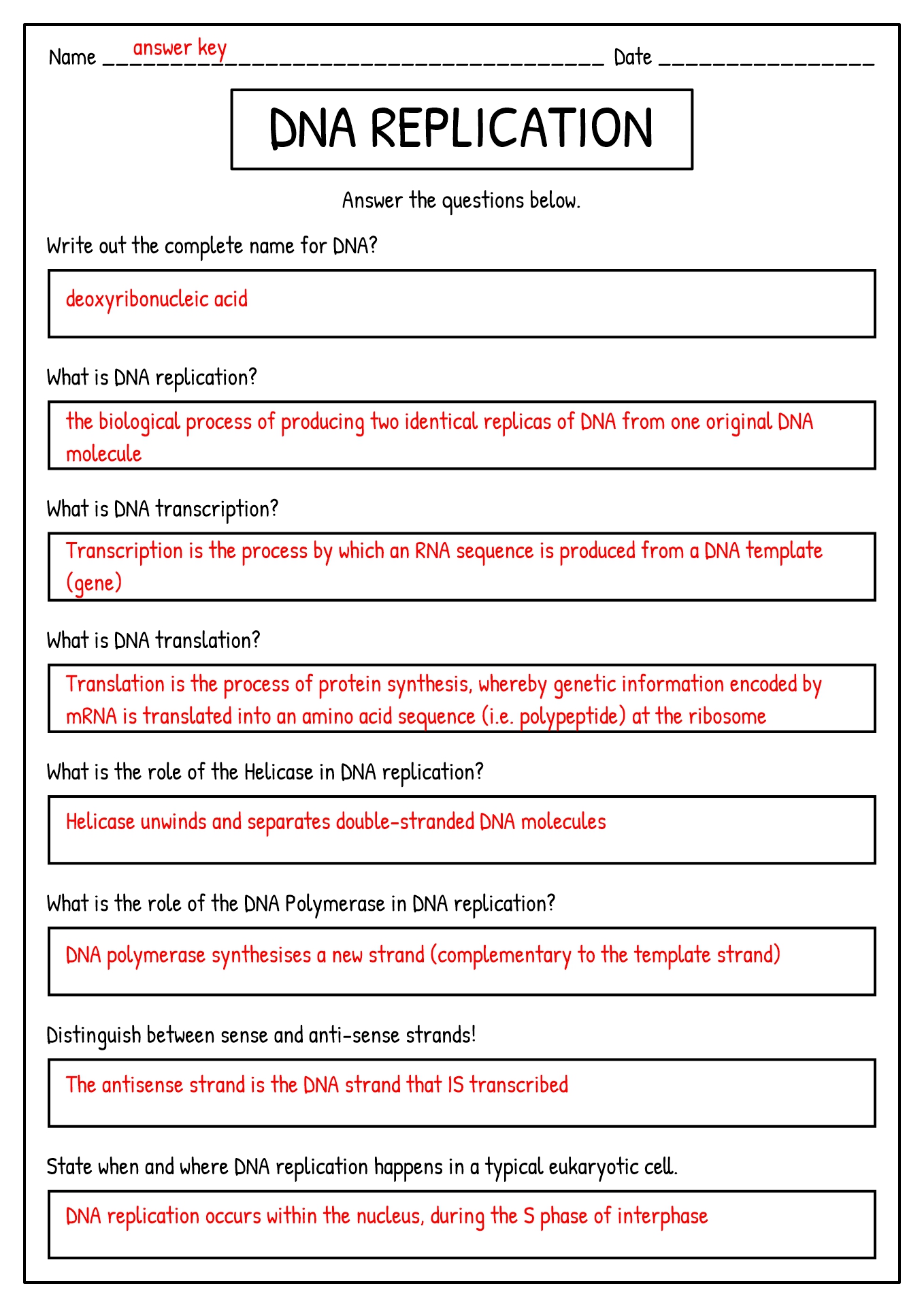 DNA Replication Worksheet Answers