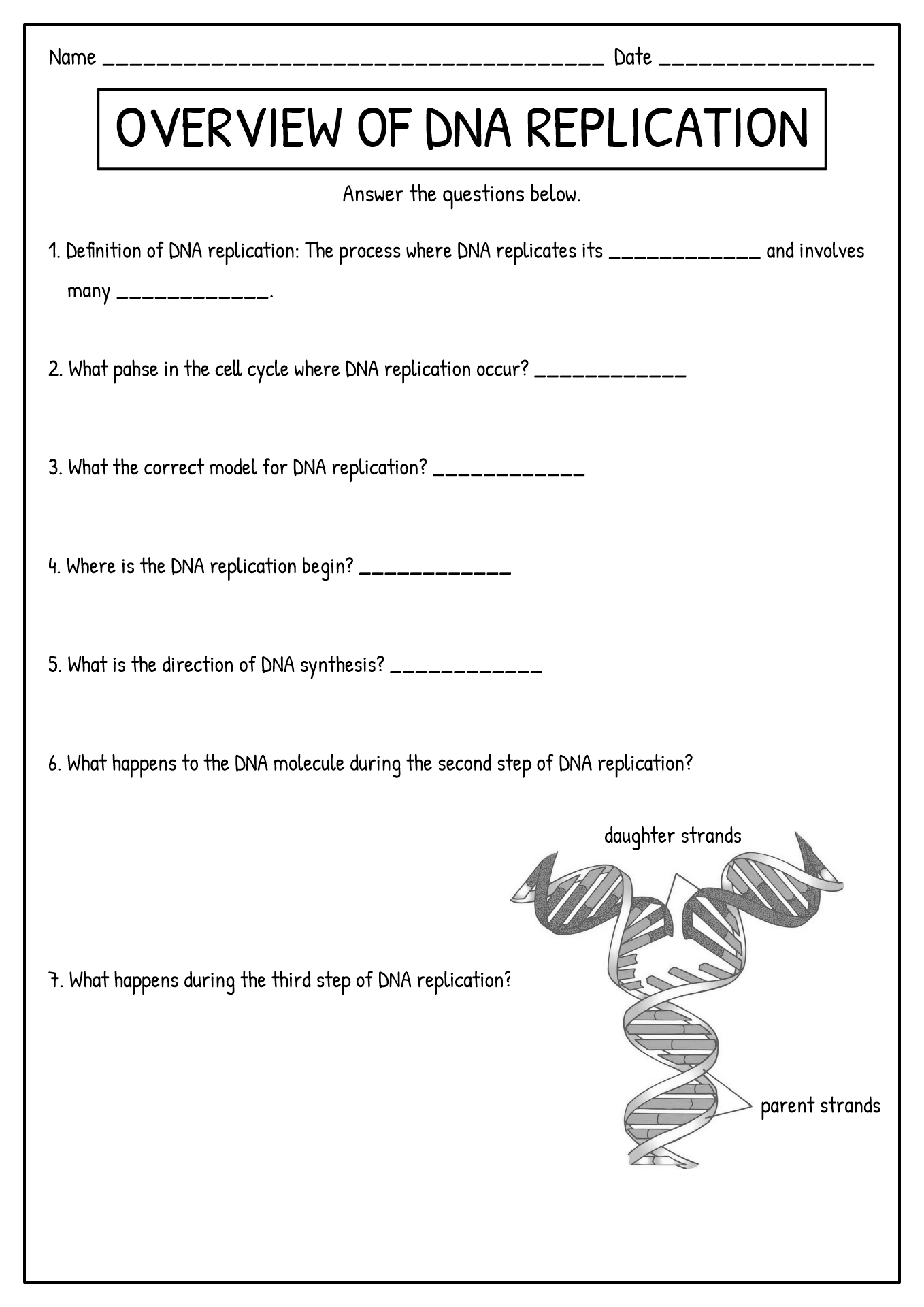 DNA Replication Worksheet