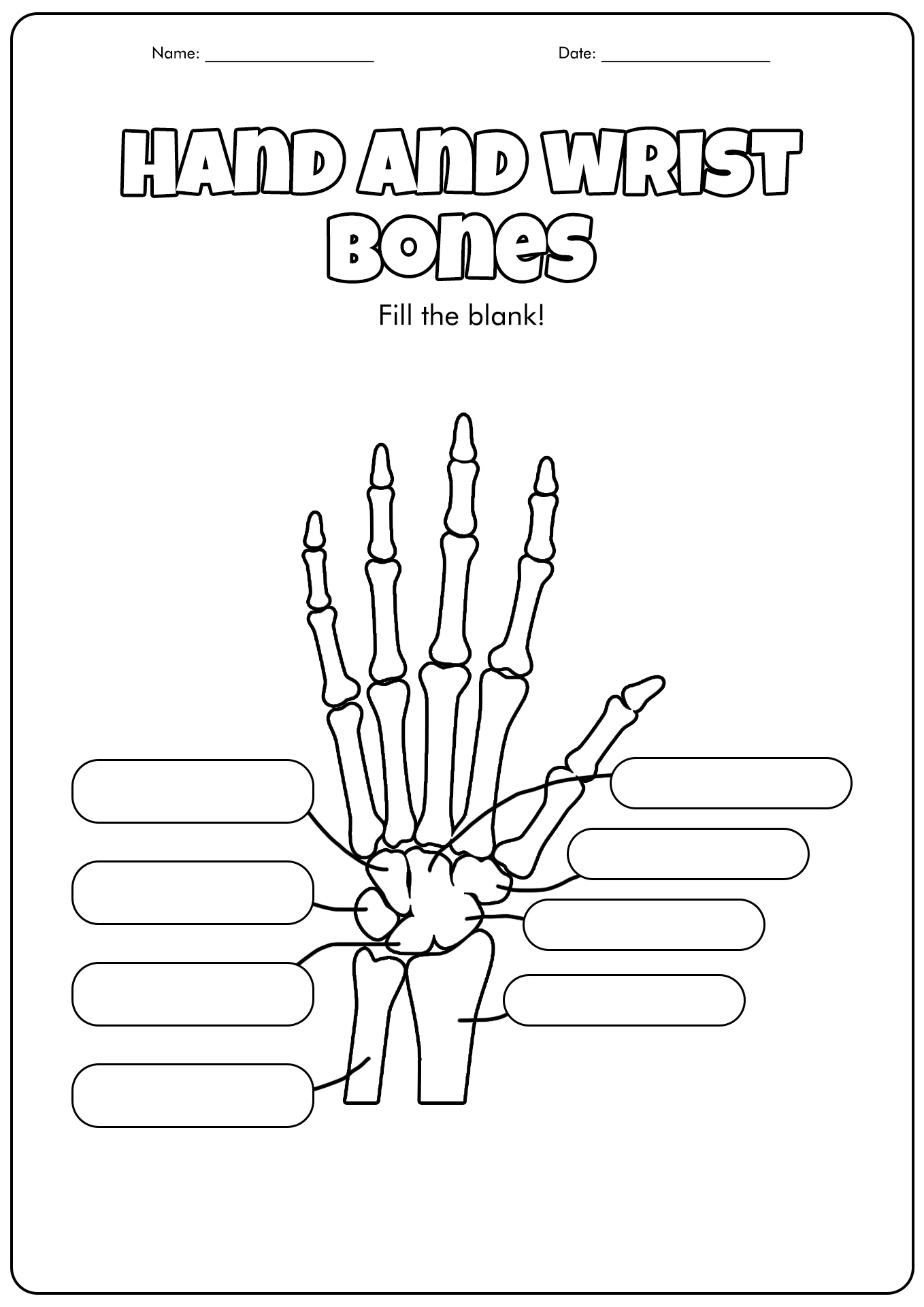Hand and Wrist Bones Diagram