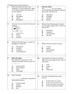 Plant and Animal Cell Worksheets 7th Grade Image
