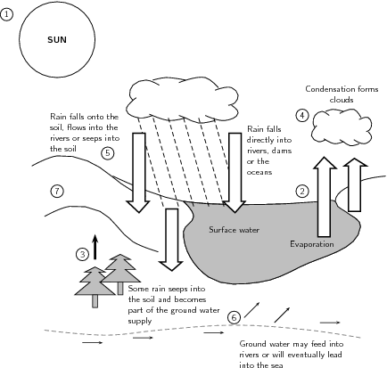 Water Cycle Diagram Worksheet Image