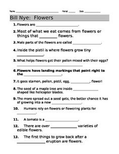 Bill Nye Chemical Reactions Worksheet Answers Image