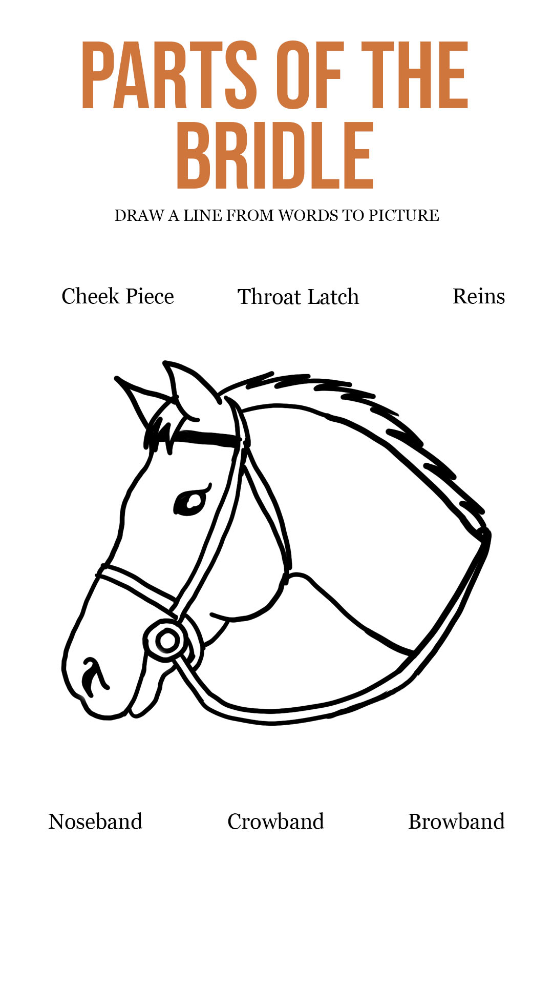 Printable Parts Of A Saddle Bridle