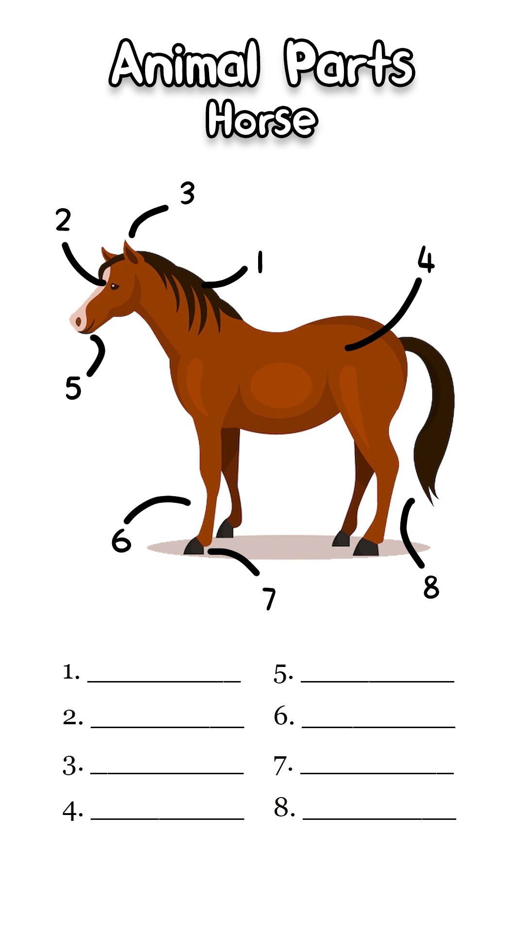 Horse Body Parts Worksheet