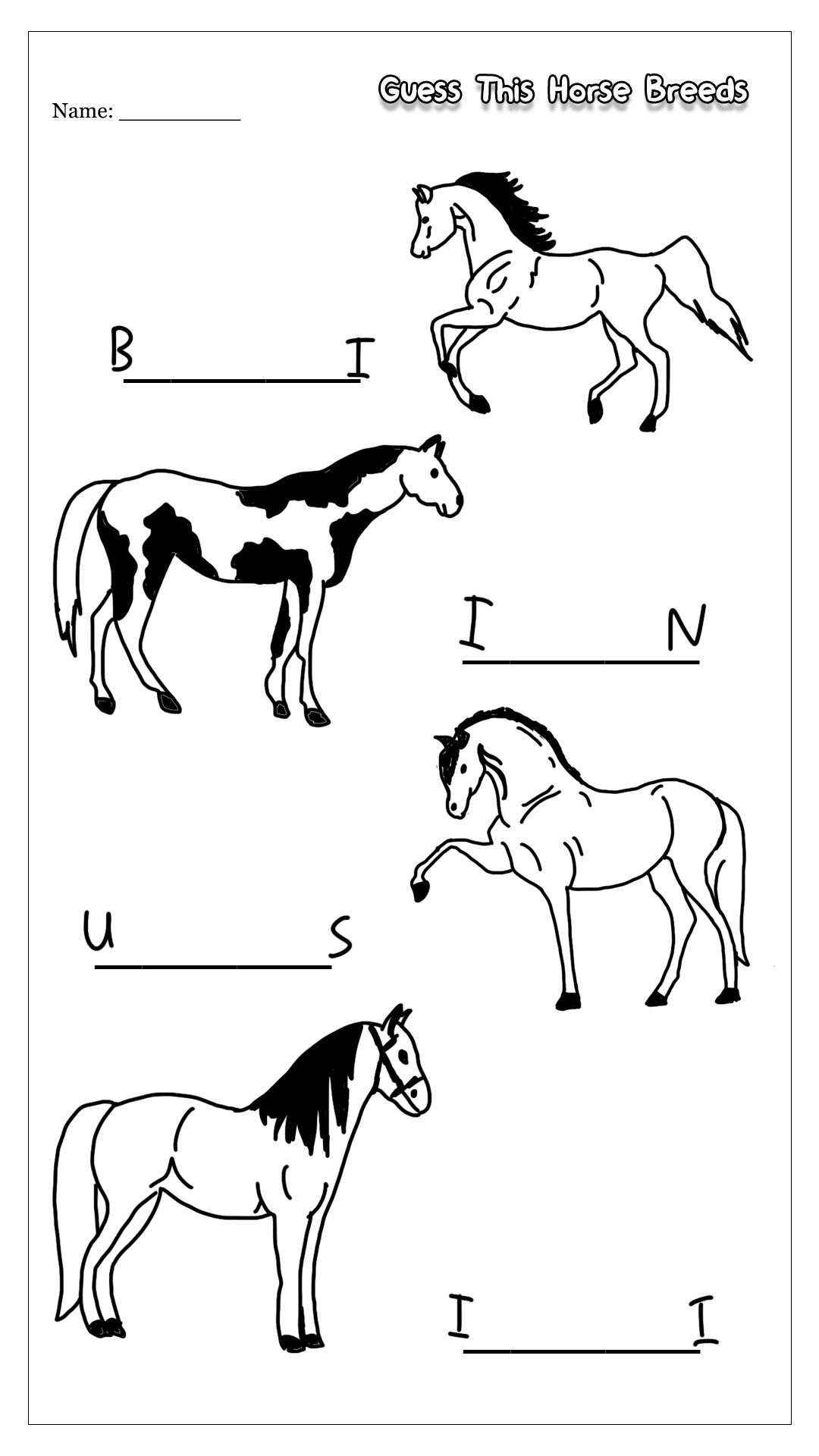 Horse Breed Worksheets Printable