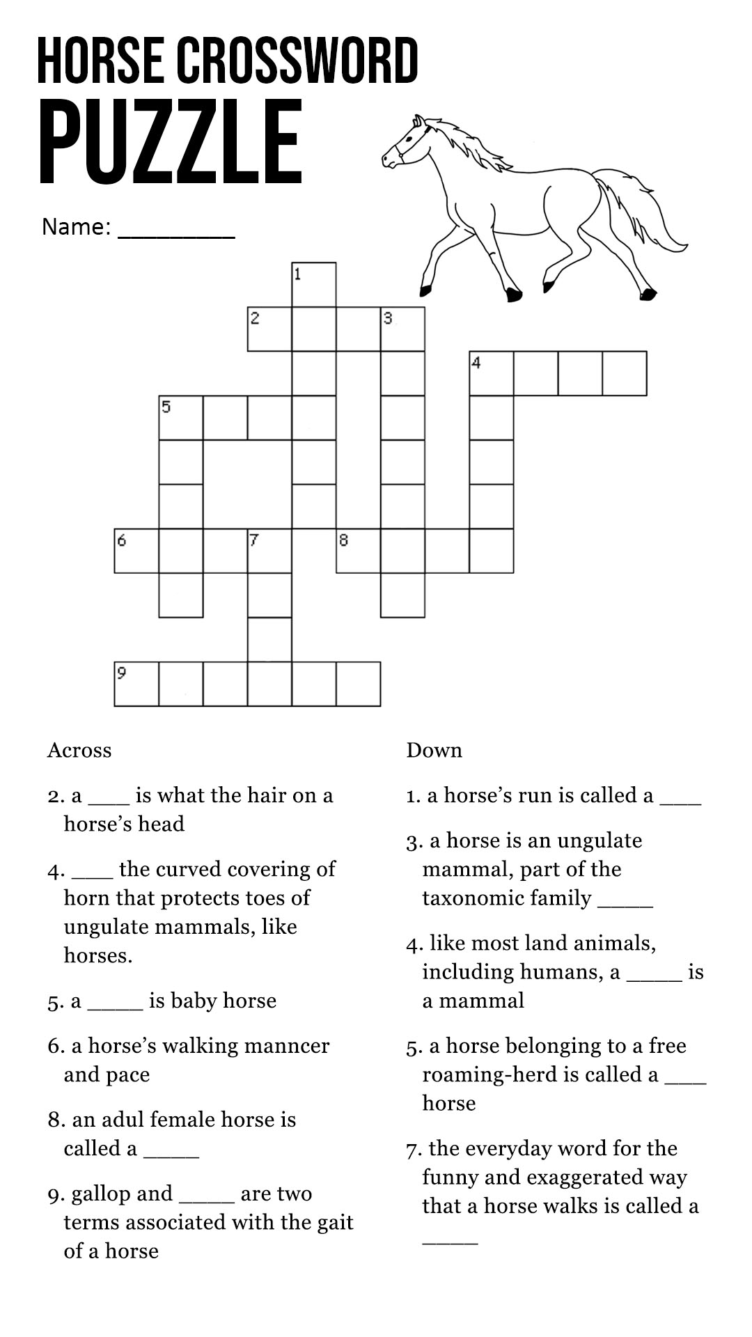 Horse Crossword Puzzle for Kids Image