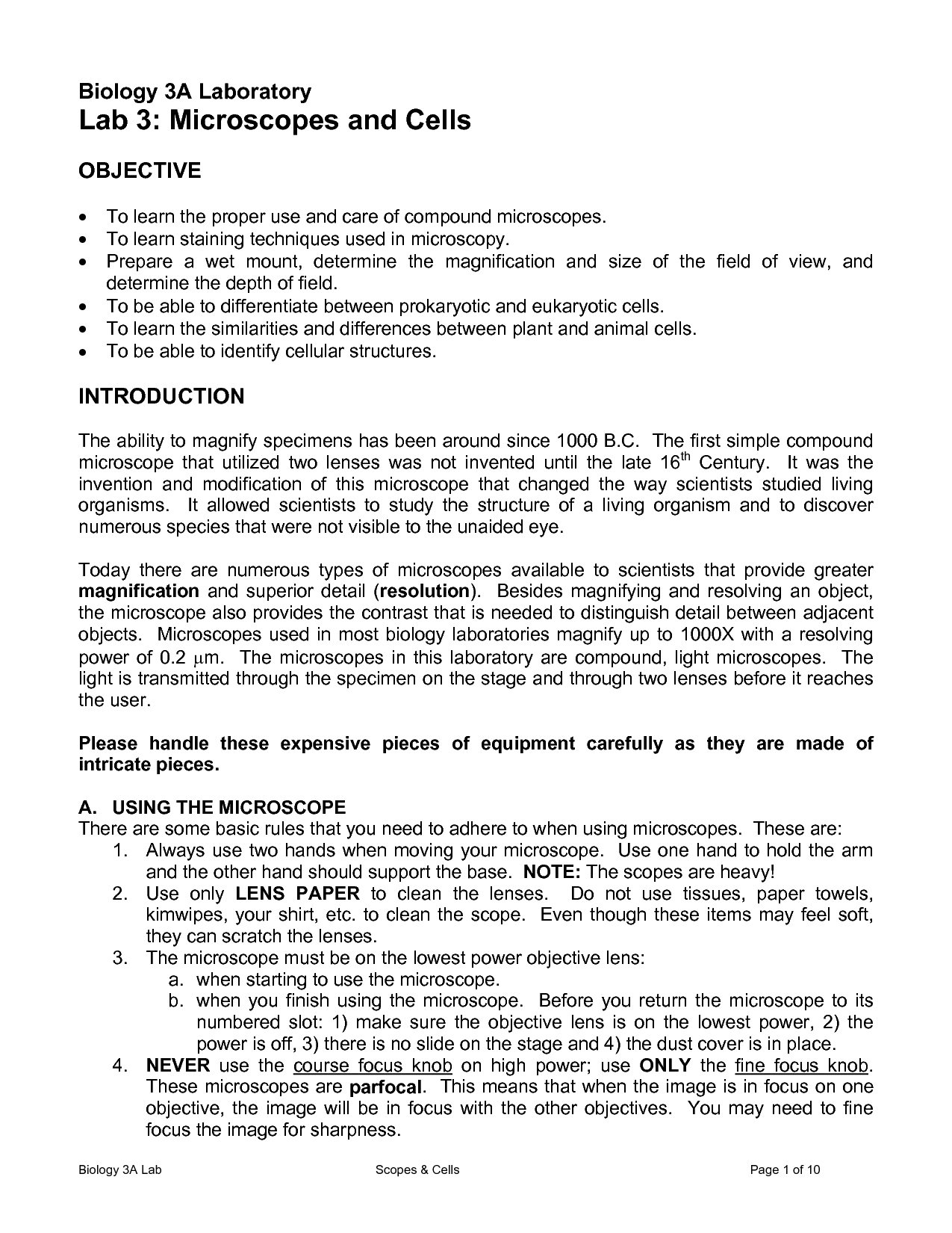 12-microscope-magnification-worksheet-answers-worksheeto