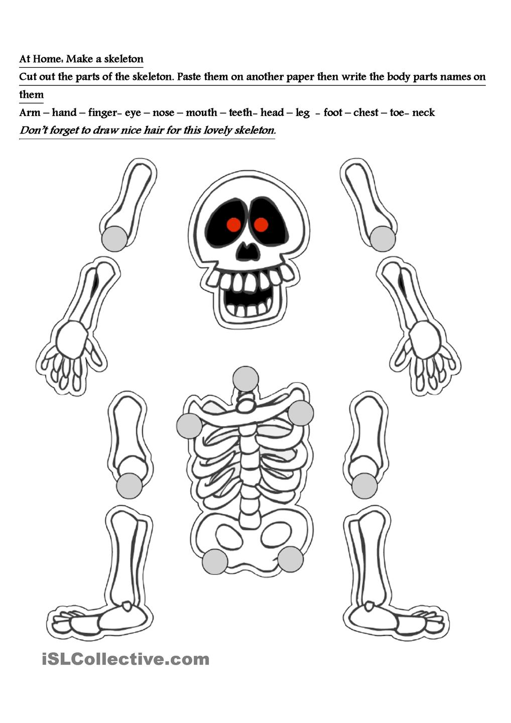 9 Printable Skeleton Cut Out Worksheet /