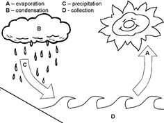 Water Cycle Worksheet Kindergarten