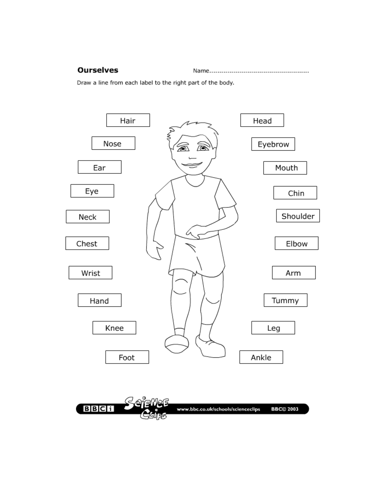 Body Boundaries Worksheets for Kids Image