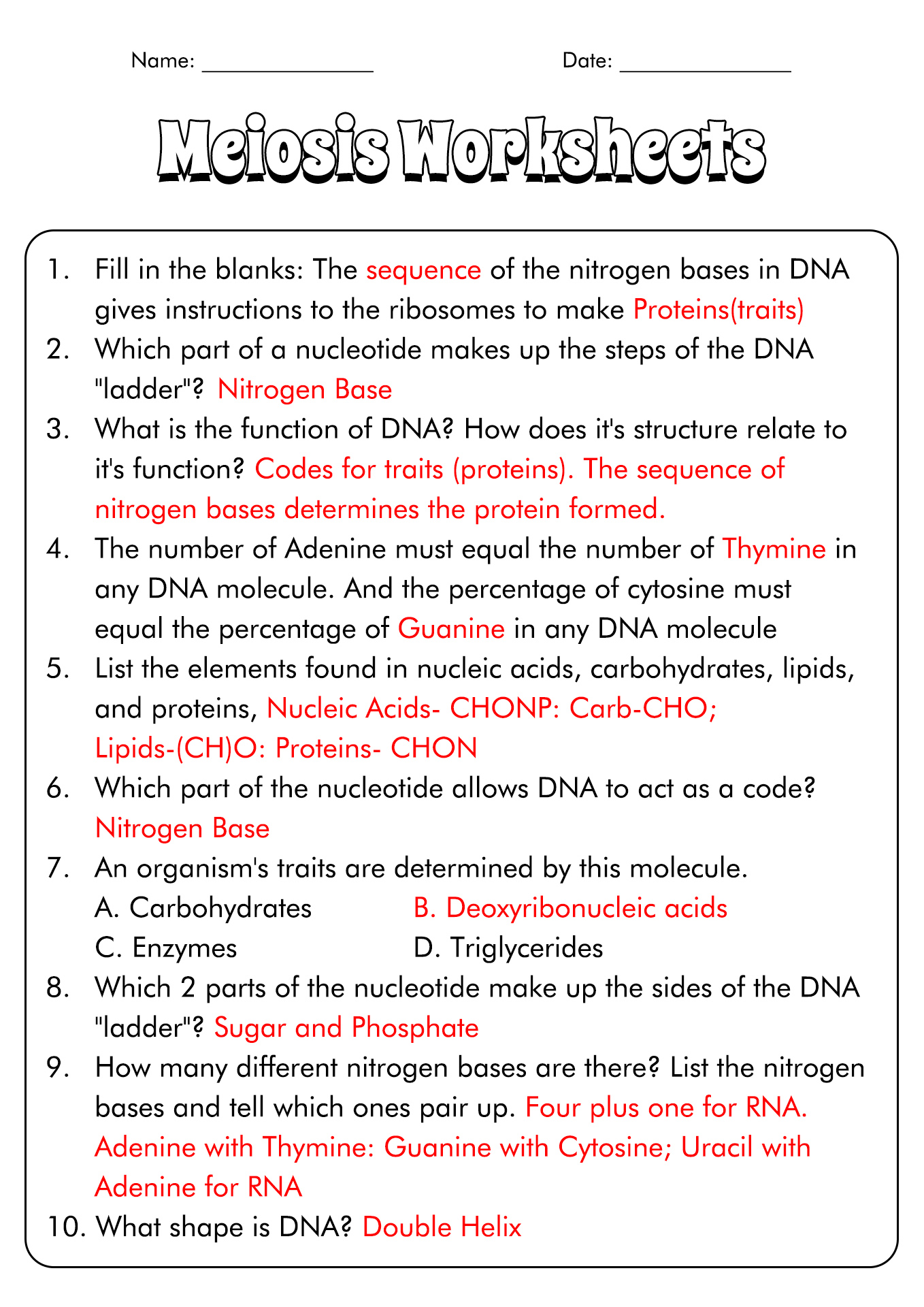 Cell Cycle and Mitosis Worksheet Answers