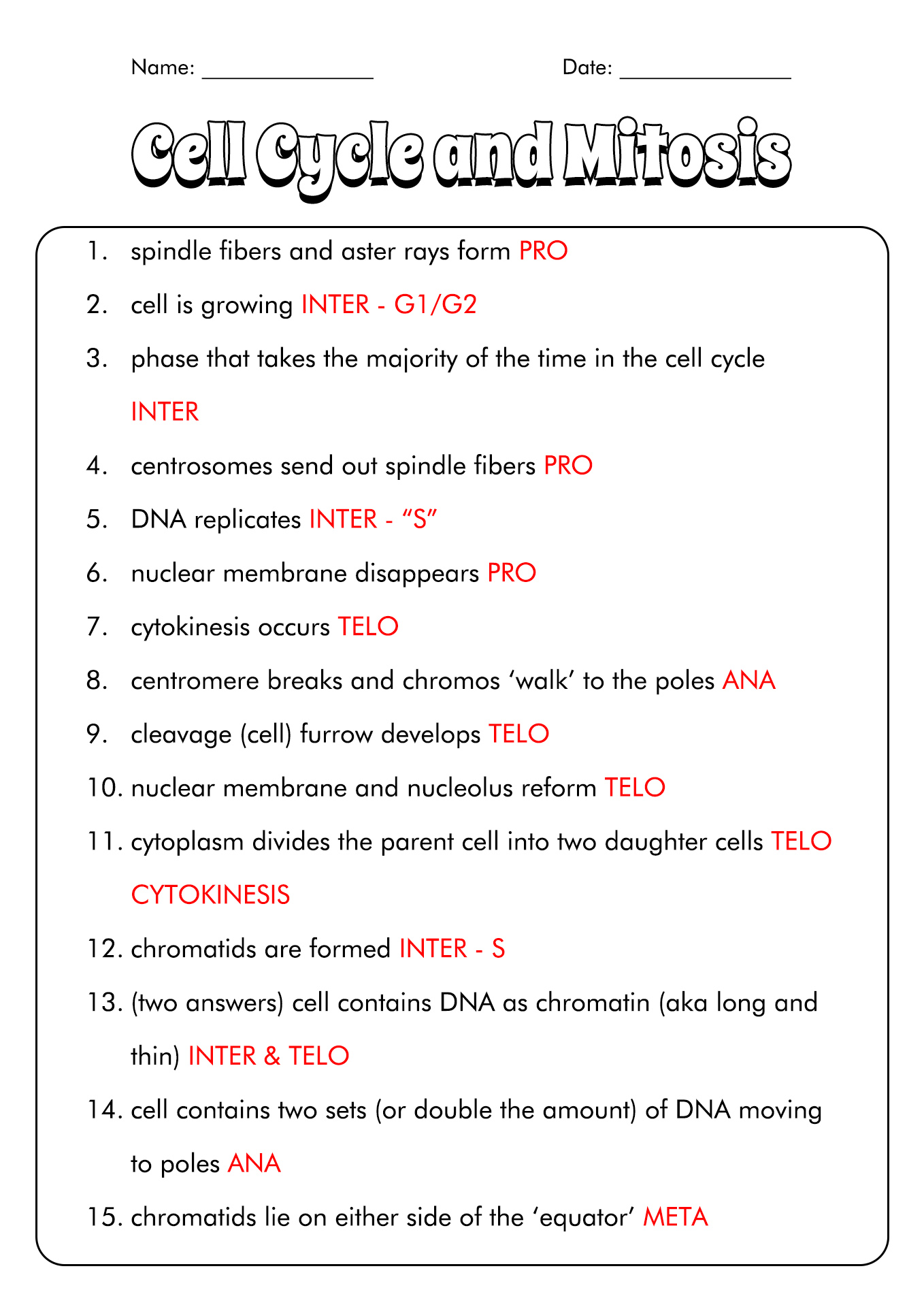 Cell Cycle and Mitosis Worksheet Answers