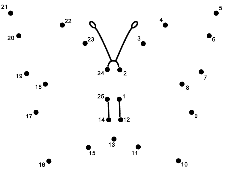 Connect the Dot Printables Butterflies