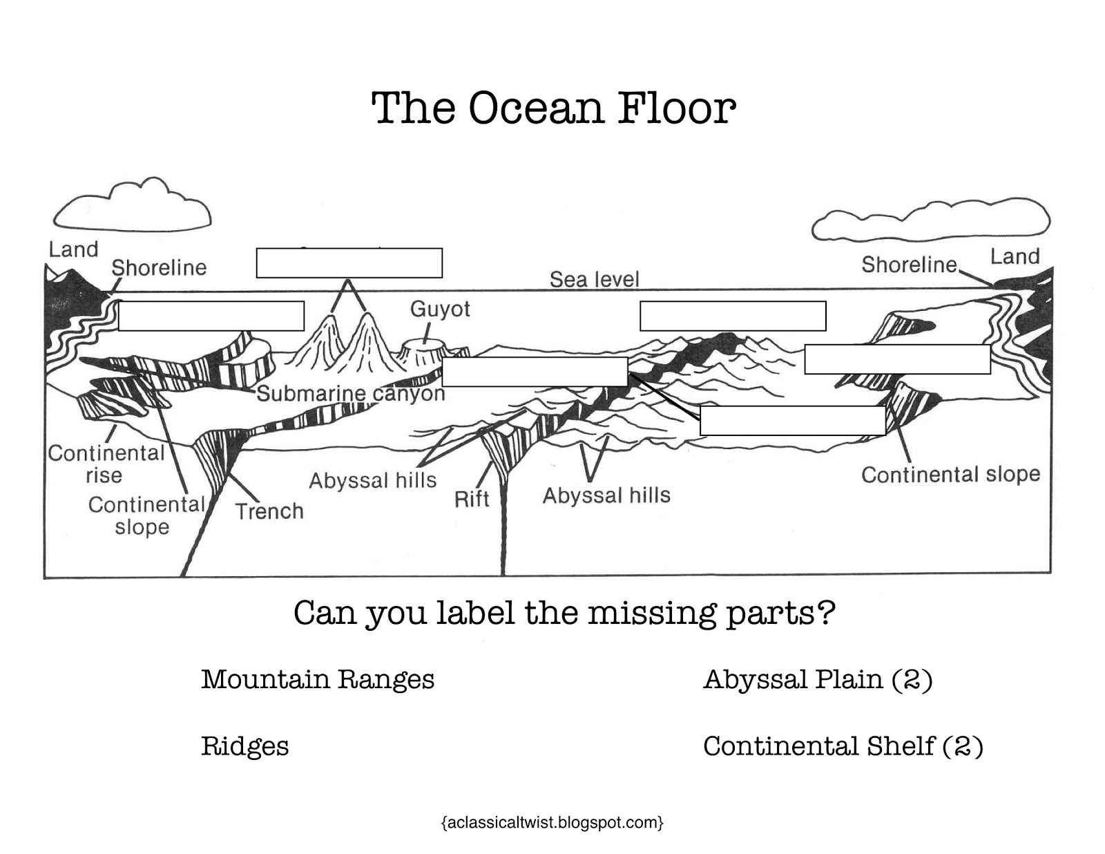 Ocean Floor Diagram Worksheet Image