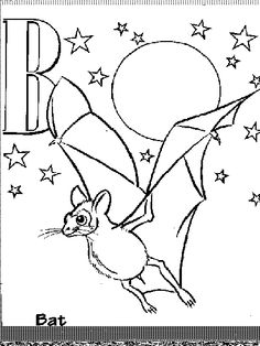 Realistic Bat Coloring Pages Image