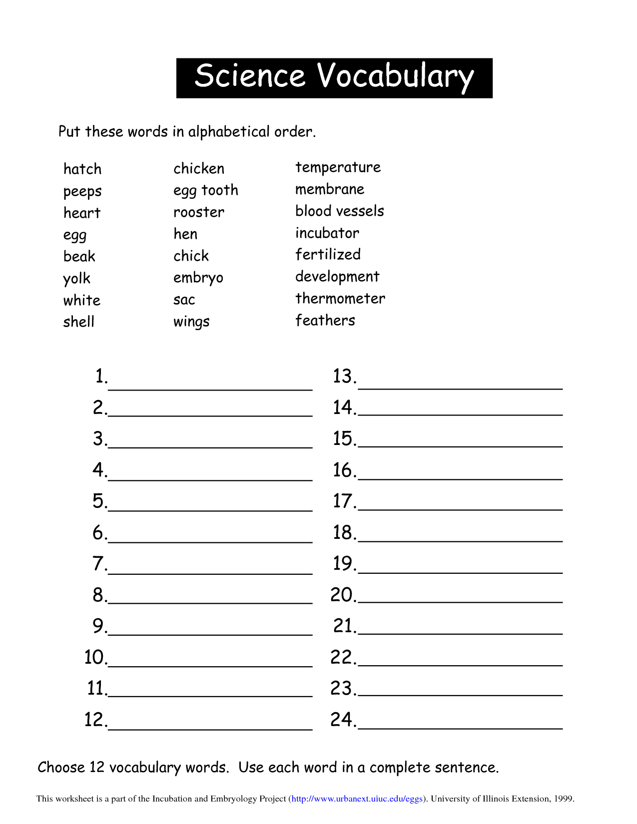 9th Grade English Vocabulary Worksheet