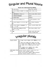 Singular and Plural Noun Rules Image