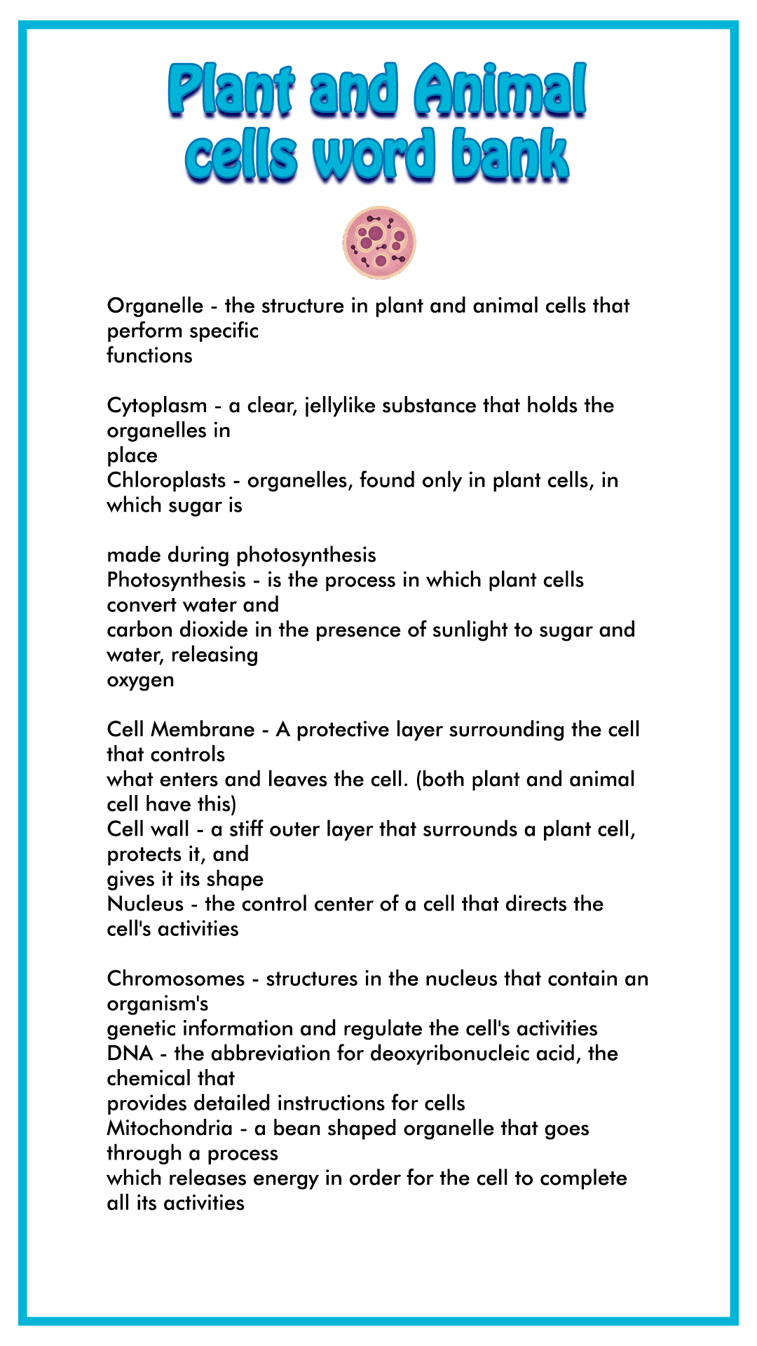 Animal Cell Organelles and Their Functions