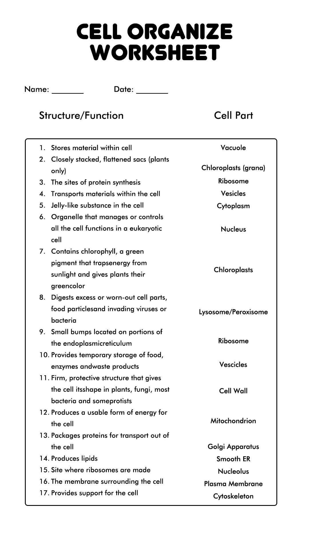 Cells and Their Organelles Worksheet Answers