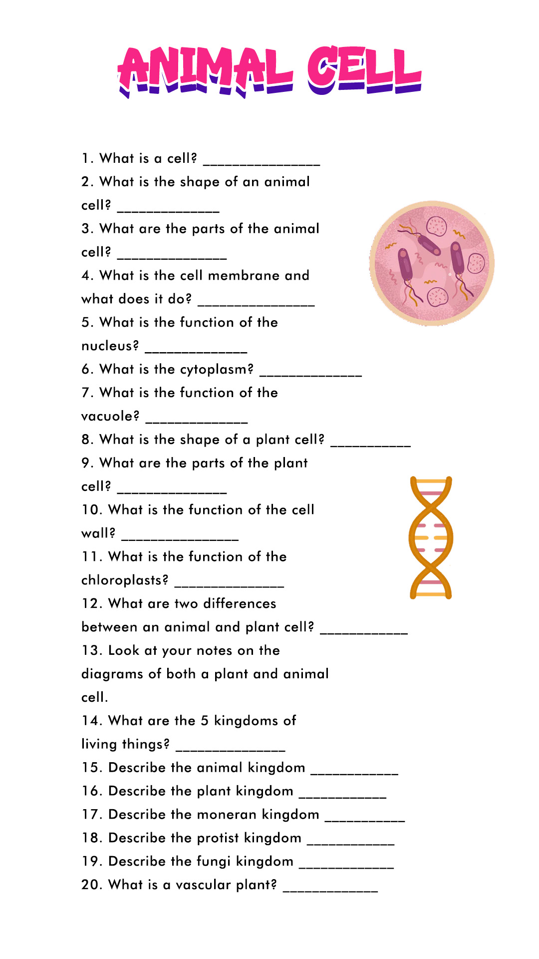 Plant and Animal Cell 5th Grade Study Guide