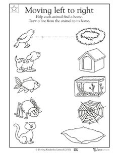 Animal Homes Worksheet Kindergarten Image
