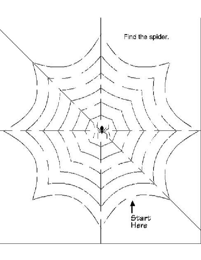 Preschool Printable Spider Web Image