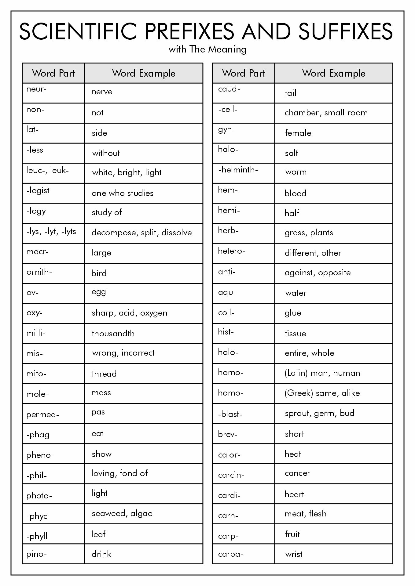 Science ROOT-WORDS Prefixes and Suffixes