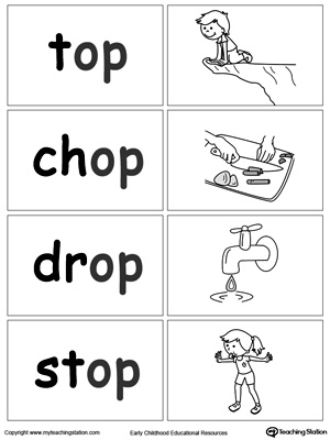 Word Families Flash Cards Image