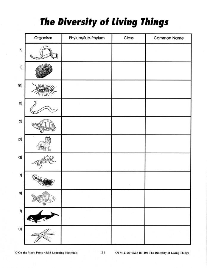 Classification of Living Things Worksheets 6th Grade Image