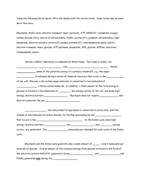 Fill in the Blank Cellular Respiration Worksheet Answers Image