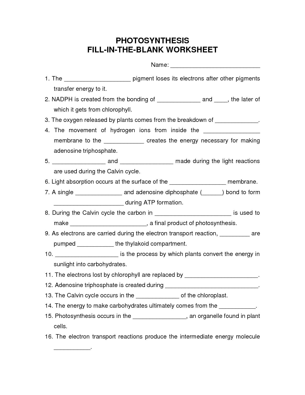 Fill in the Blank Worksheets Answers Image