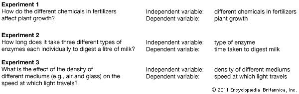 Independent and Dependent Variables Examples Image