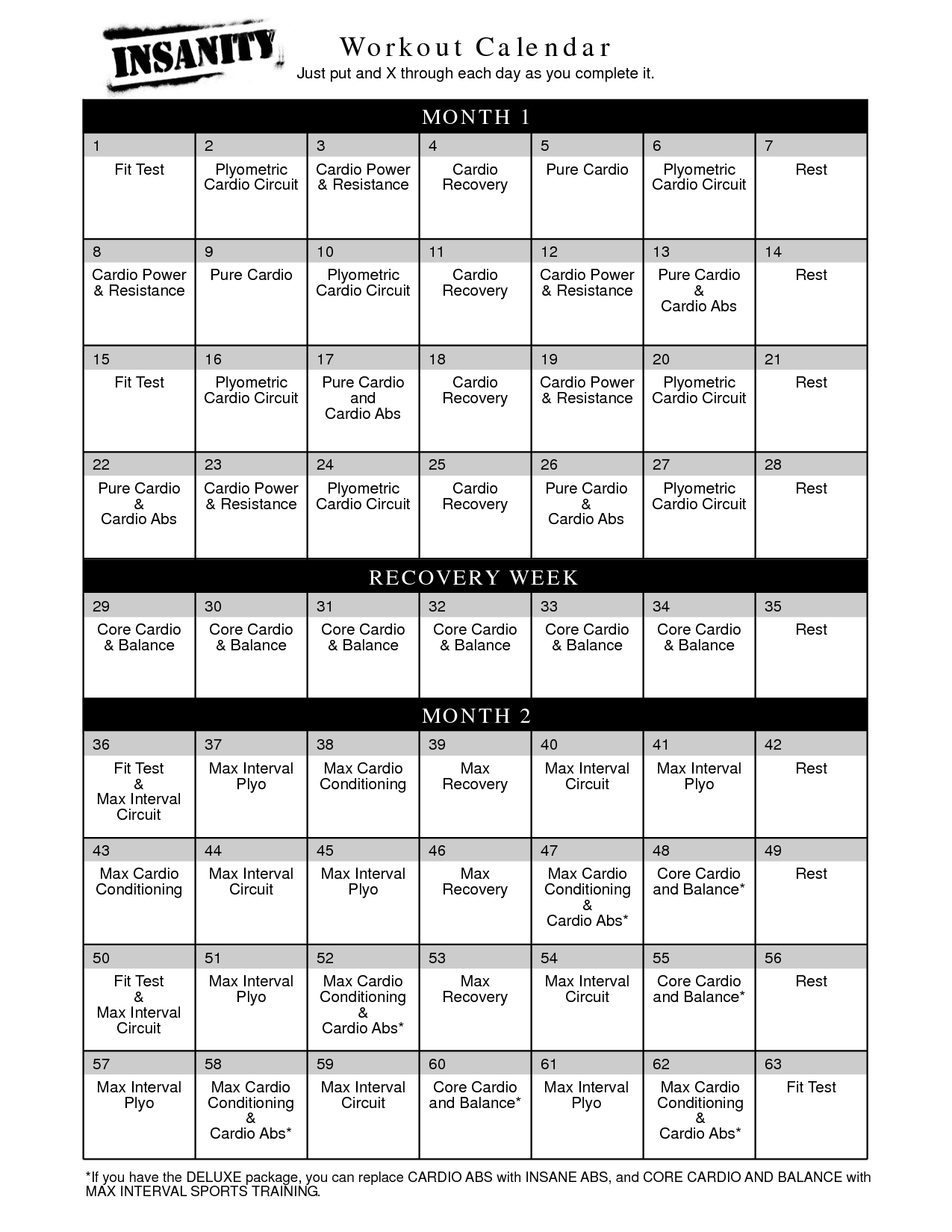 Insanity Workout Calendar.pdf Image