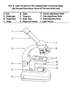 Light Microscope Parts Worksheet Image