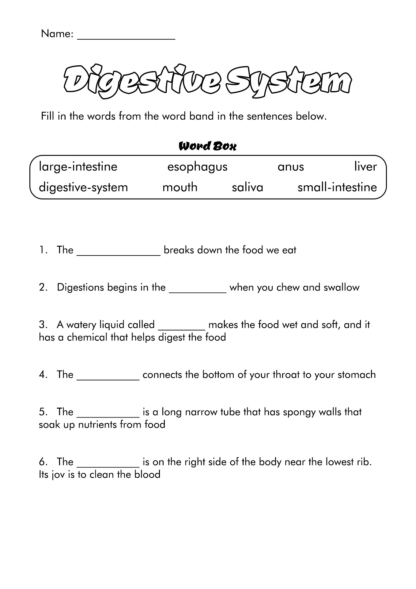 6th Grade Science Worksheets