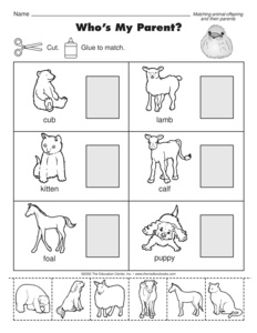 Animal and Their Babies Worksheet Image
