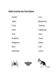 Animal and Their Babies Worksheet Image