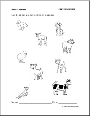 Baby Animal Worksheets Preschool Image