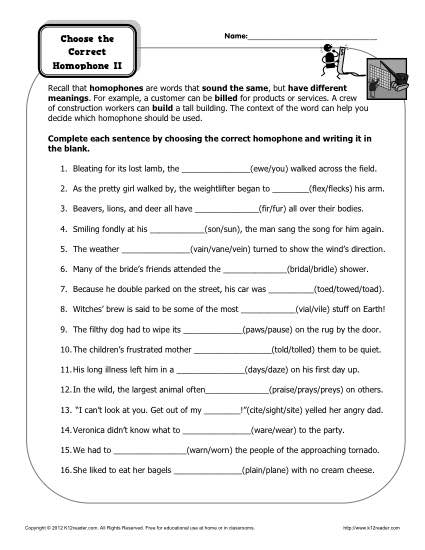 Homophone Worksheets 5th Grade Image