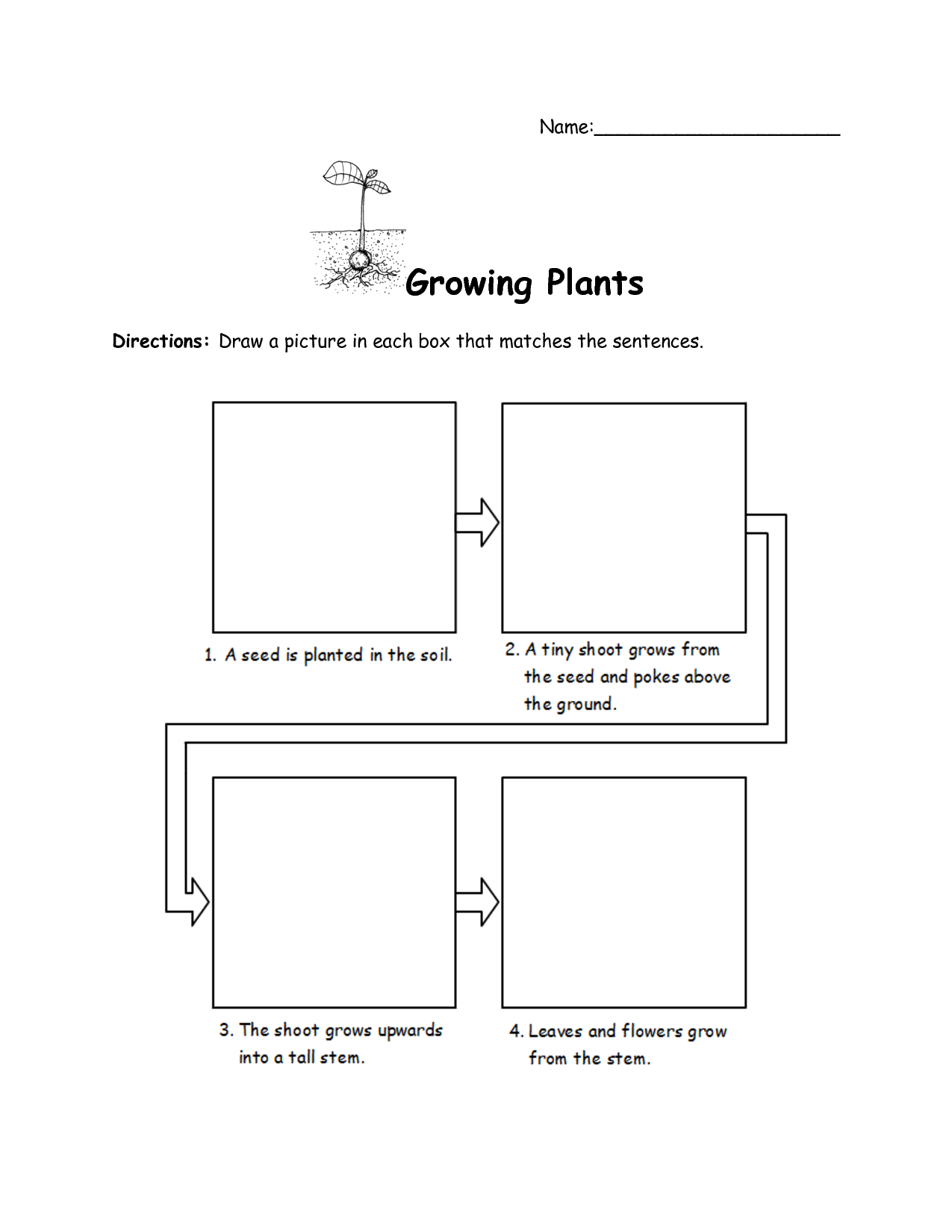 Growing Plants Worksheet Image