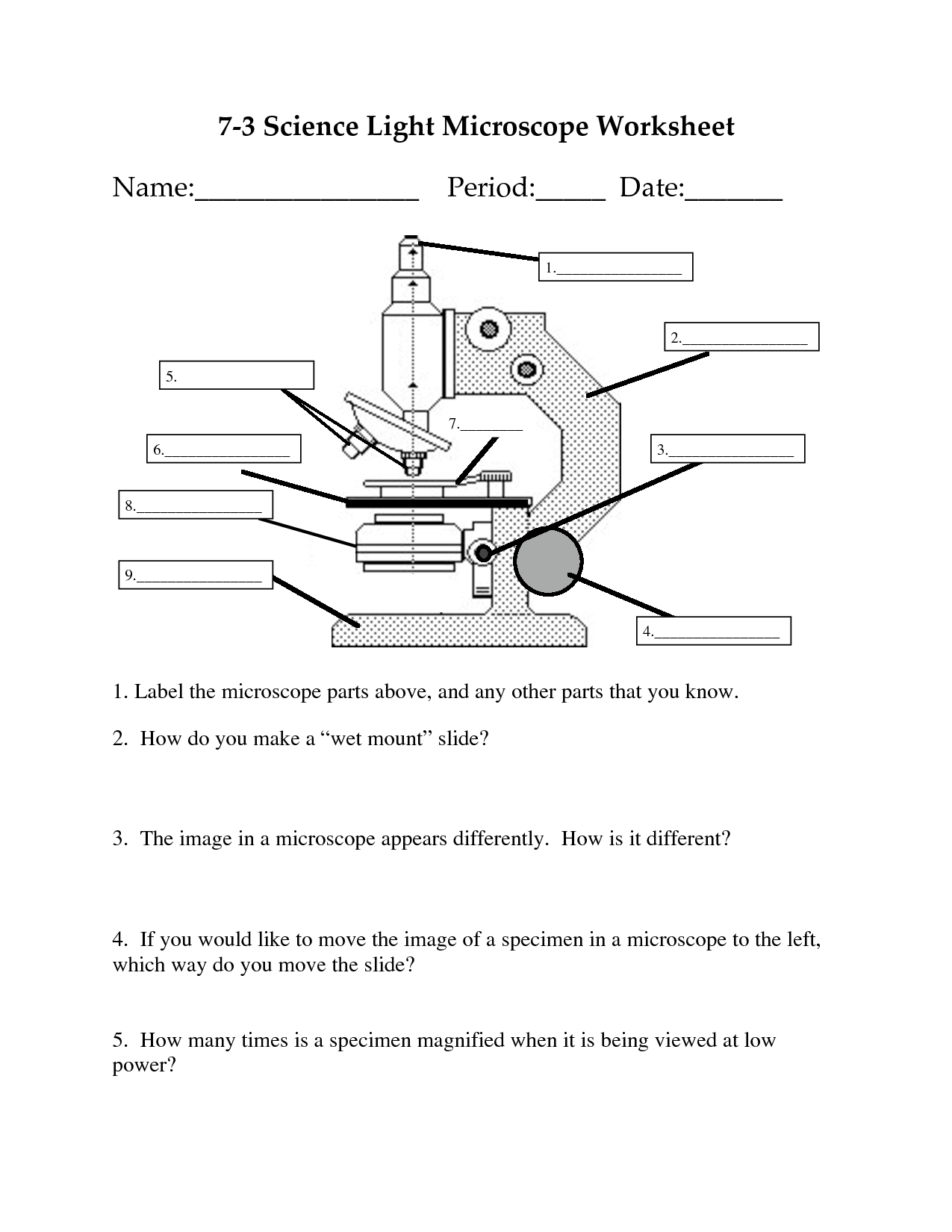 Parts Of A Microscope Worksheet