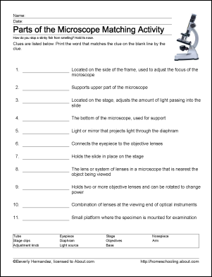 Microscope Parts Worksheet Answers Image