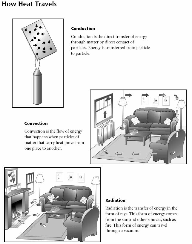 Three Types of Heat Transfer Worksheet Image