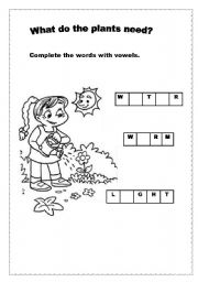 What Do Plants Need Worksheets Image