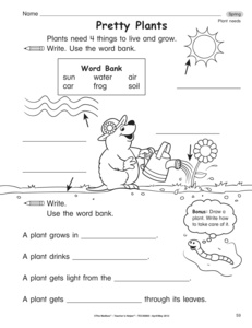What Plants Need Worksheet Kindergarten Image