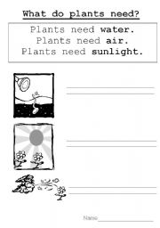 What Plants Need Worksheets Image